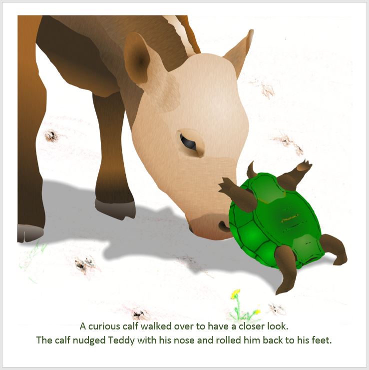 Teddy and Todd - Image 2